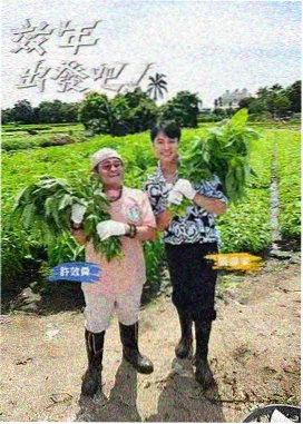 行走的博物馆 文化综艺全集